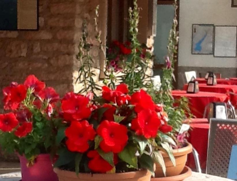 Albergo Centrale San Zeno di Montagna Exterior foto